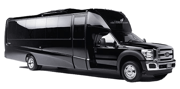 Mini Coach Mini Coach