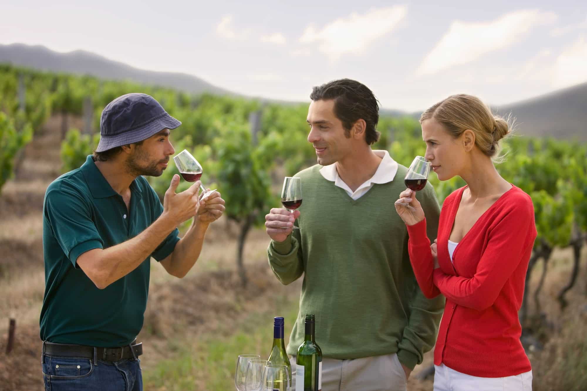 Wine Tours